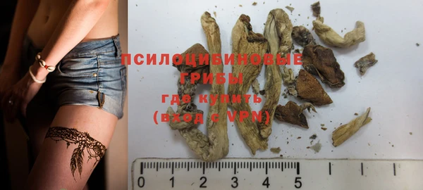 дурь Мегион