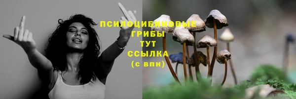винт Магадан