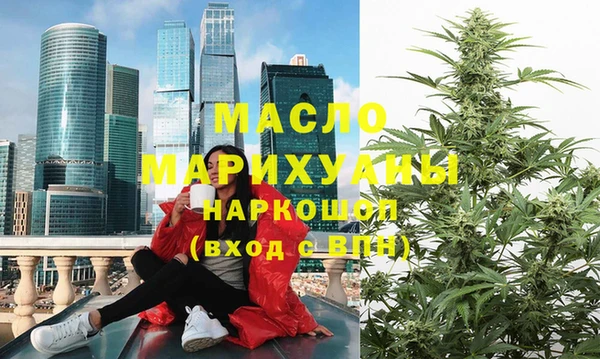 стаф Медногорск