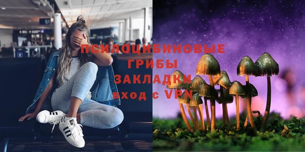 дурь Мегион