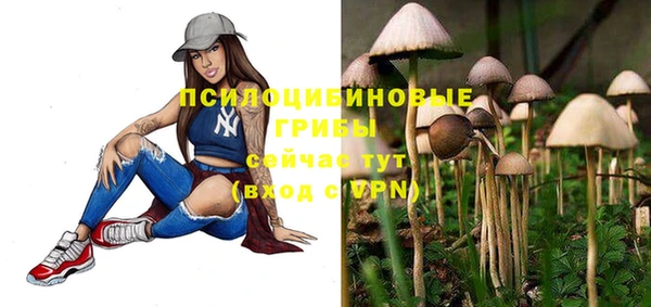 каннабис Майский