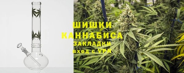 стаф Медногорск